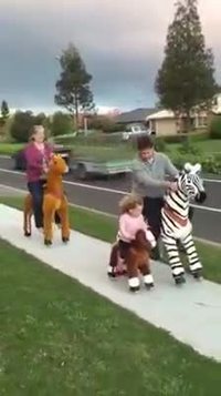 Promenade en famille