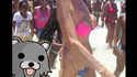 Gerontobear