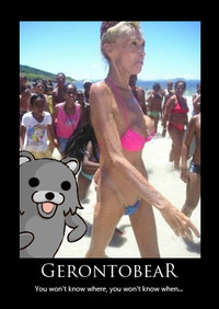 Gerontobear