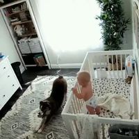 Quand maman et la nounou ne sont pas là 