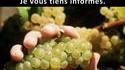 Foire aux vins chez Ikea