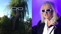 Polnareff chante en saule