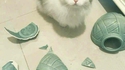 Le chat potier