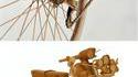 Art en carton