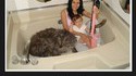 Un moment WTF