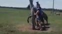 Un 360° en cheval