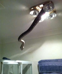 Je vais prendre une douche...