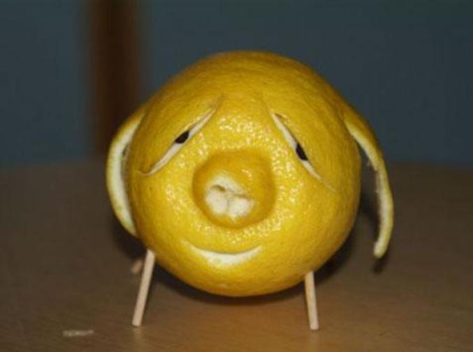 Un cochon taillé dans un citron