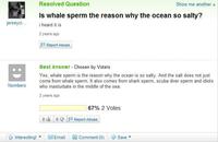Pourquoi la mer est salée ?