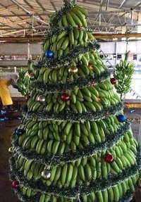 Arbre de Noël tropical
