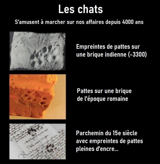 tout le long de l'histoire