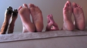 Photo de famille