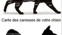 Carte de caresses