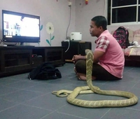 Kan tu regardes la télé avec un pote