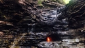 Flamme éternelle