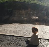 Le lion et le bébé