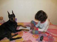 Manucure pour chien