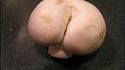 Champifesse