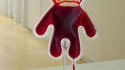 Perfobear