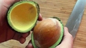 L'arnaque des avocats