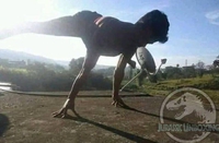 Photo exclusive d'un Tyrannosaurus Rex