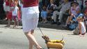 Hot dog 3