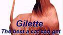 Gilette pour chat