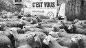 La majorité