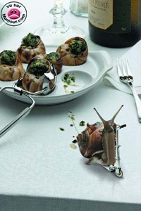 escargot