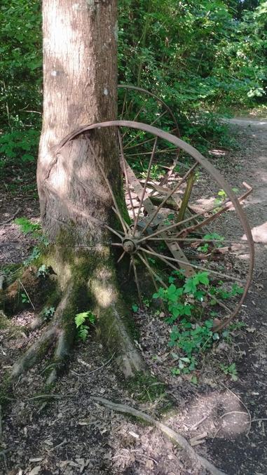 Bon je voulais la récupérer pour faire de la déco dans le jardin