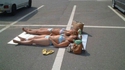 Vacances low cost