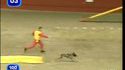 Agility