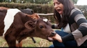 Carnivore (Ça aurait pu être pis)