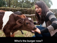 Carnivore (Ça aurait pu être pis)