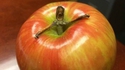 ISP et naissent dans les pommes