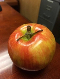ISP et naissent dans les pommes