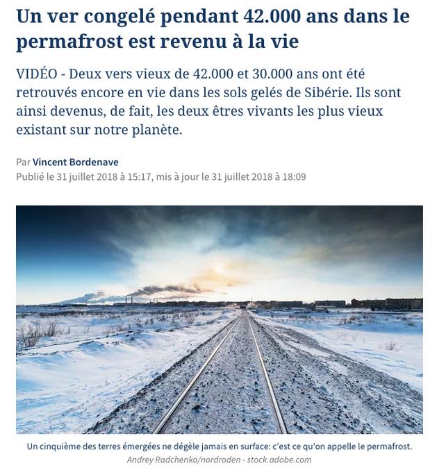 Détails ici :
https://www.lefigaro.fr/sciences/2018/07/31/01008-20180731ARTFIG00163-un-ver-congele-pendant-42000-ans-dans-le-permafrost-est-revenu-a-la-vie.php