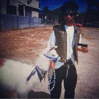 Un gangster et son lama