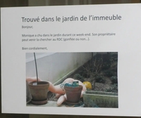 It's raining (wo)men !