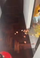 Les jeunes, ça s'amuse avec un rien...