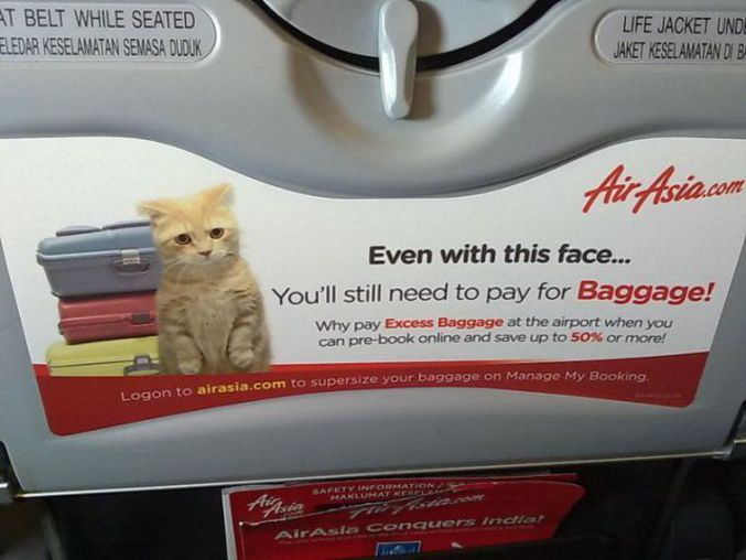 Même le Chat potté doit payer pour son excès de bagages.