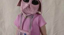 Vador en rose
