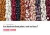 Sujet de recherche 