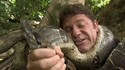 Le Boa Constrictor