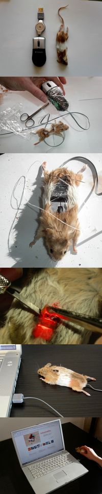 Une souris souris