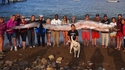 Un gros hareng