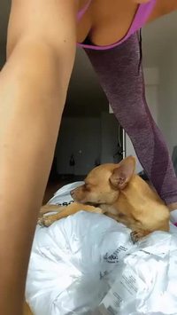 Gymnastique matinale