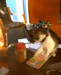 Exclusif : Mylo invité à un tournage !