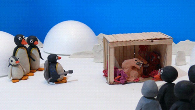 Pingu, cet assassin