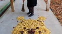 Winnie en feuilles